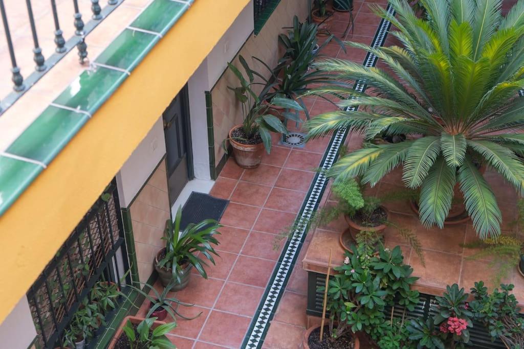 Junto A Setas De Appartement *